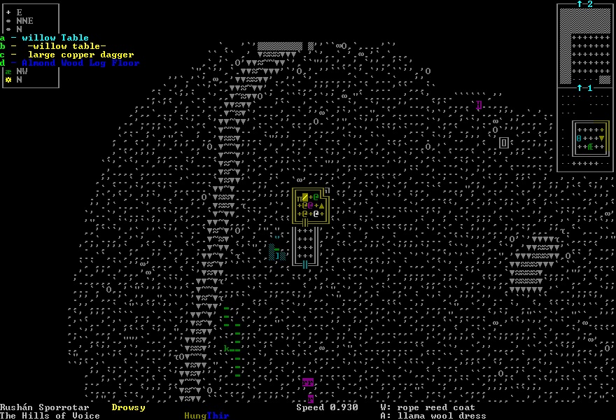 dwarf fortress ascii graphics